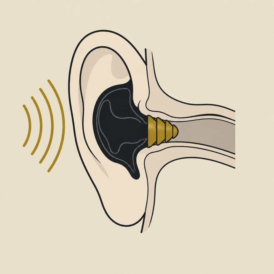 Diagram of the ear showing the mold filling the outer bowl and the tip sealing the canal