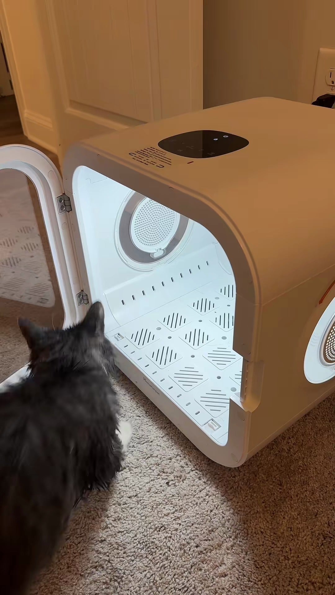 Drypod Enclosed pet dryer box — product reference image