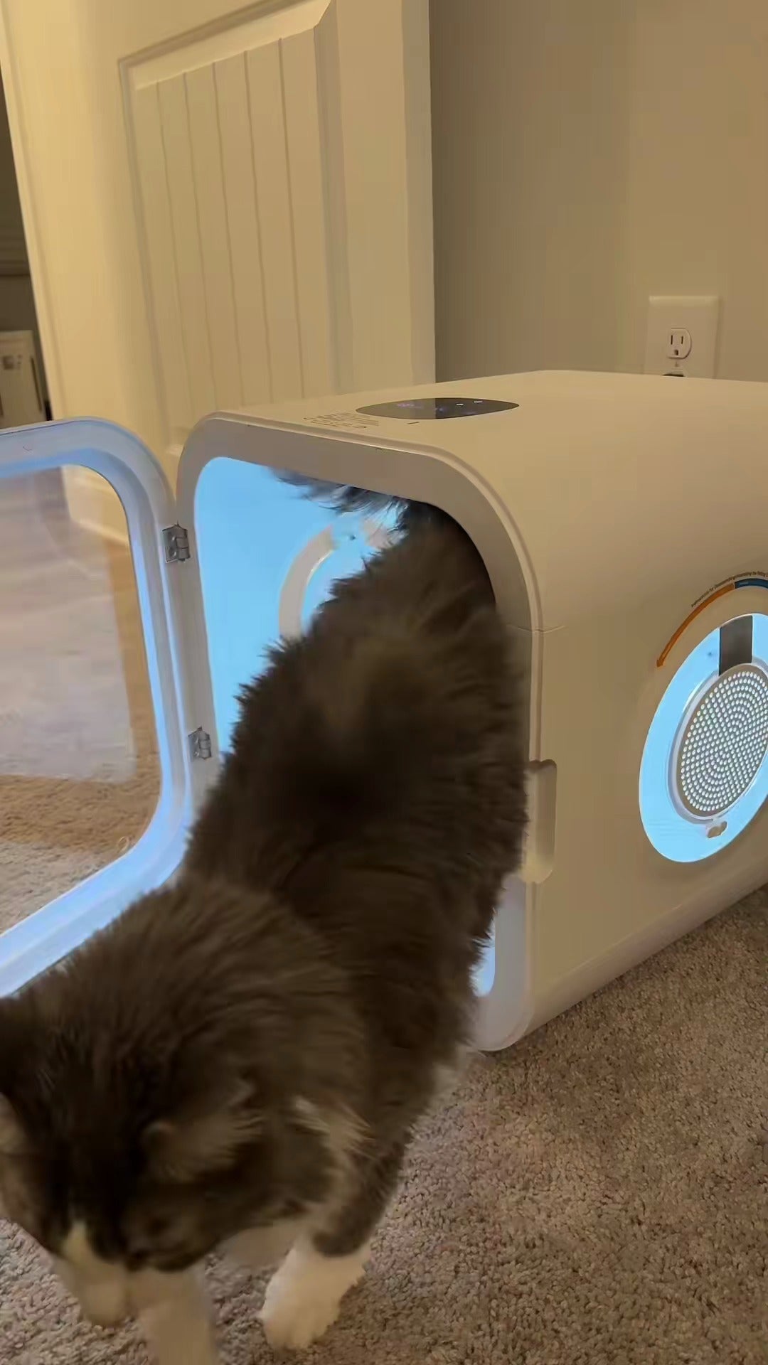 Drypod Enclosed pet dryer box — product reference image