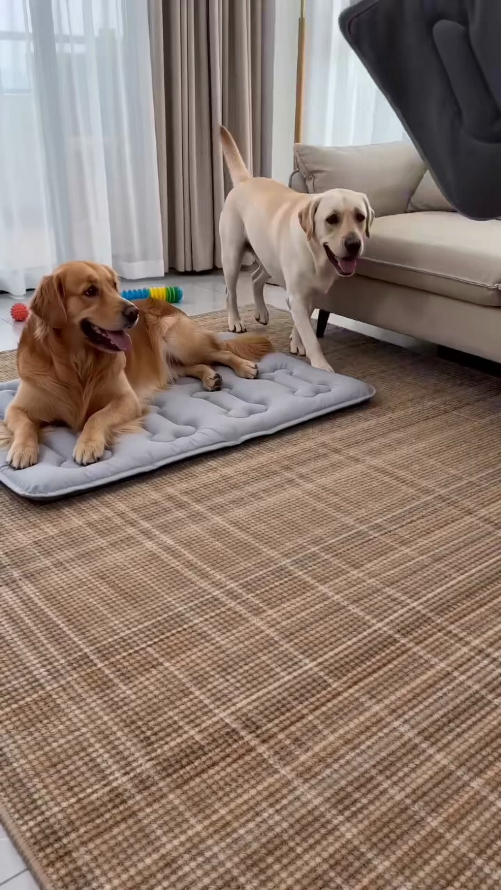 Dog cooling mat — product reference image